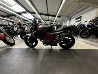 SUZUKI GLADIUS 650 70KW FULL REVISÉE & GARANTIE 12 MOIS !